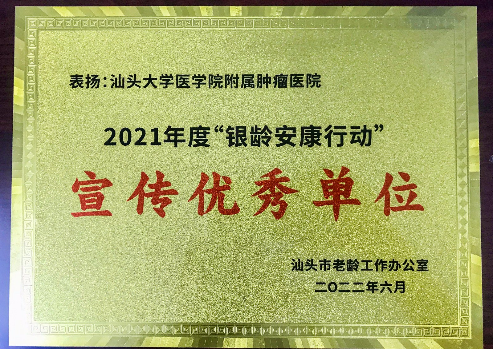 16557102428682844 (1).jpg